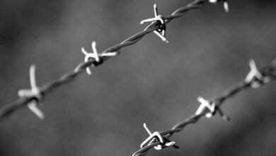 caller protection intelligence division