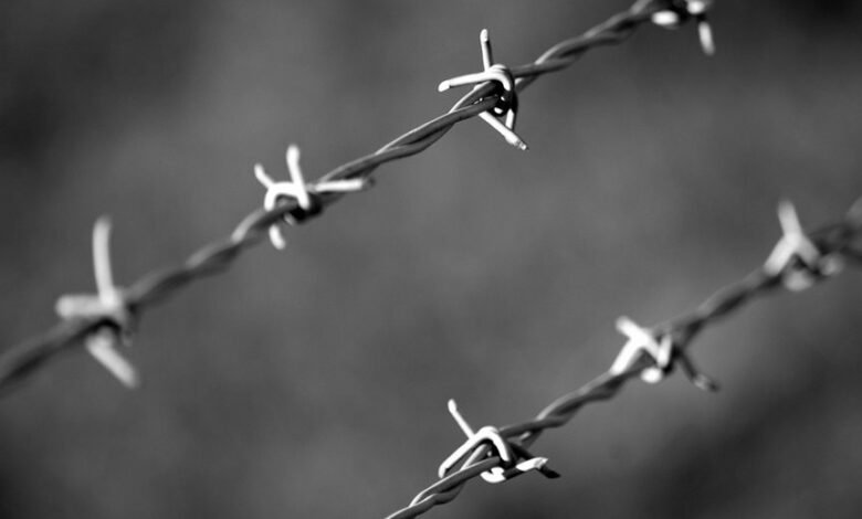 caller protection intelligence division