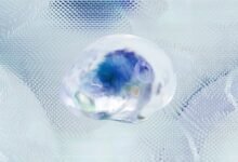 fraud detection intelligence network