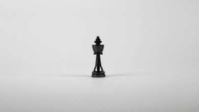 fraud monitoring contact numbers