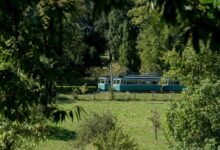 fraudulent tracking compliance council