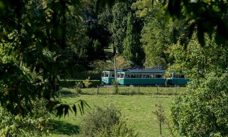 fraudulent tracking compliance council