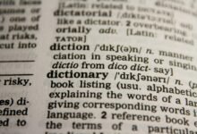 website about willis catchphrase